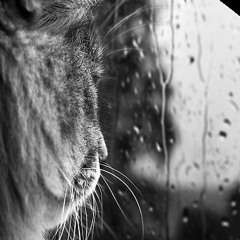 ☹ ∆NGRY ΠABLEFLIP - H A P P Y P E ☹ P L E S H O U L D N T M A K E S A D M U S I C ☹