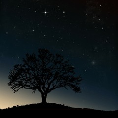 Sarah Mclachlan - Angel (cover)