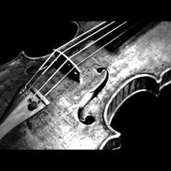 Double D - Violin Bass