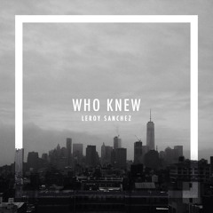 P!NK - Who Knew (Cover by Leroy Sanchez)
