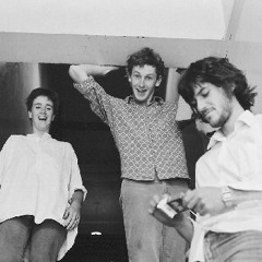 The Verlaines - Instrumental