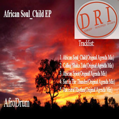 African Soul Child EP(Promo Mix)