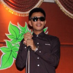 เสือ11ตัว