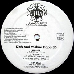 Siah & Yeshua Dapoed - Gravity (1996)