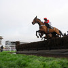 My Program Horse Racing