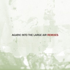 Agaric "Berlin Methods" (He/aT Remix) - Weare Recs