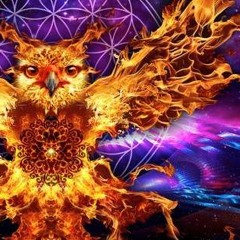 VORTEX | Phoenix Festival of Fire - D-rANg3D Teaser