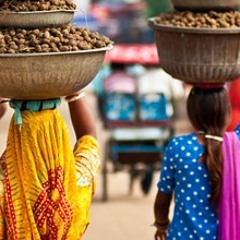 Indian Trip - Ian Gubbins