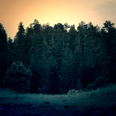 Mix For Studio d'essai 43