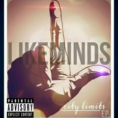 LikeMinds - Levitate