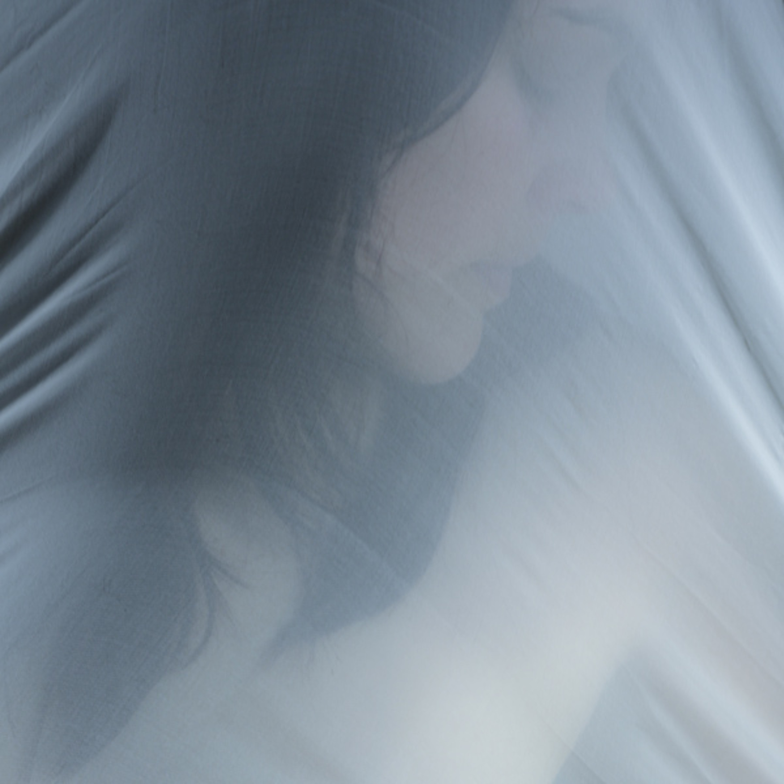 Hybrides episode artwork