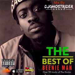 THE BEST OF BEENIE MAN