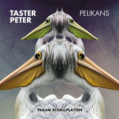 Taster Peter - Pelikans (Original Mix)