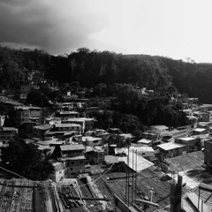 Club de Animales - 1073