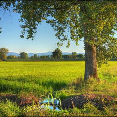 Got To Get Out (feat. Dario Scussel)