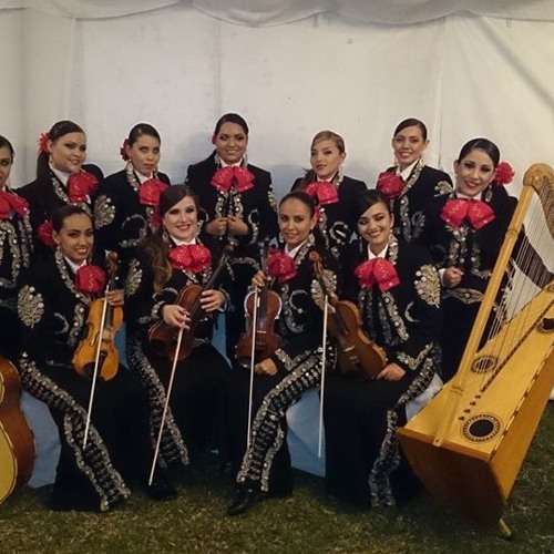 Stream ¨Las Ciudades¨ Mariachi Femenil Nuevo Tecalitlan Cd by Mariachi  Femenil Nuevo Tecalitlan | Listen online for free on SoundCloud