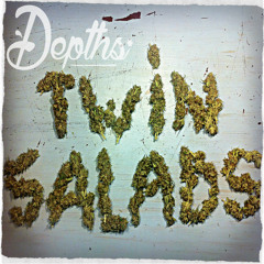 TWIN SALADS