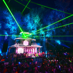 The Official DMNW Playlist (Pt. II)