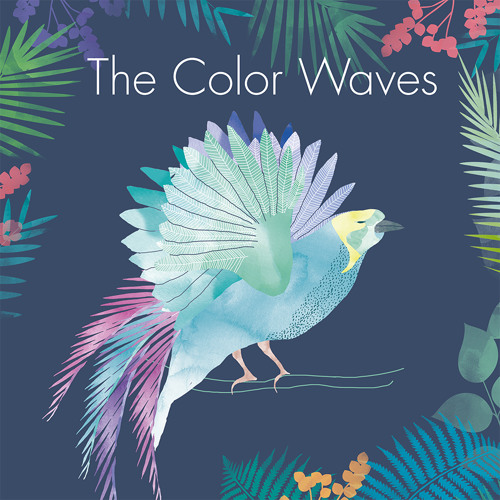 The Color Waves - Chirology