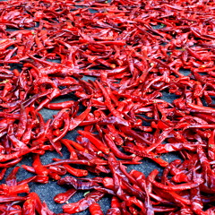 Hey Good Lookin' - Scott&Jay (Hank Williams Cover)