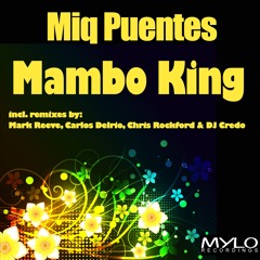 Mambo King (Carlos Delrio NightShift RMX) SC
