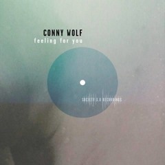 Conny Wolf - Feeling For You (Society 3.0)