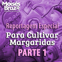 Para Cultivar Margaridas - Parte 01