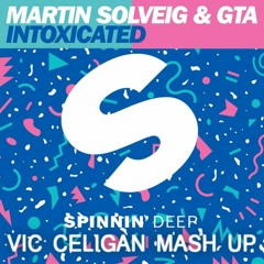 Martin Solveig - Intoxicated ( Vic Celigan Mashup )