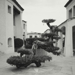 Embezzlement Society - "Rough Quarters EP" - Tenderpark 018