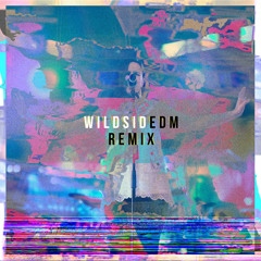 wildsidEDM - Jaisua Remix