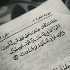صلاة التراويح من مسجد النور 8 رمضان 1436