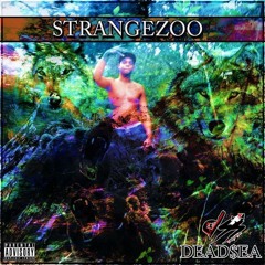 Map (Produced by StrangeZoo)