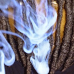 Got It On My Own x TNT