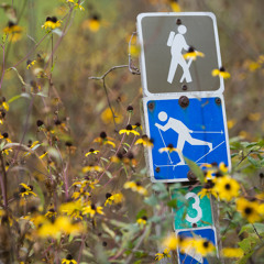 Run Training