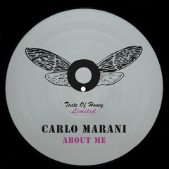 Carlo Marani - About Me