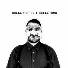 Small Fish In A Small Pond