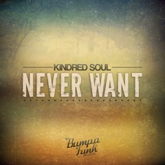 Kindred Soul - Never Want (Slipz & Dapz Bassline Remix)