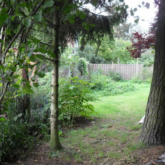 Abgrund der BP-Vögel (aBPîme des oiseaux)