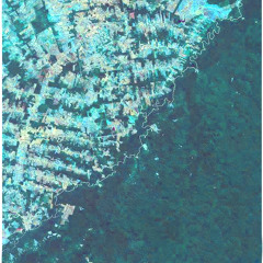 Clockwork Radio - Skin (SSR Session)