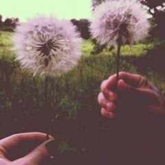 We Love Funk, Soul & Sundays