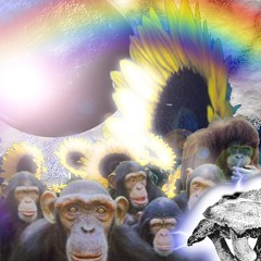Natural Born Tripperz: Pure Borntrippy mix-tape remixed by Primitive Alchemy