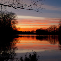 Trio pour violon, violoncelle et piano