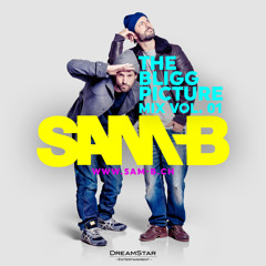 THE BLIGG PICTURE VOL. 1