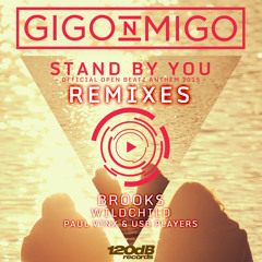 Gigo'n'Migo - Stand By You (Paul Vinx & USB Players Remix) Preview