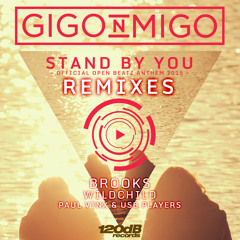 Gigo'n'Migo - Stand By You (Brooks Remix) Preview