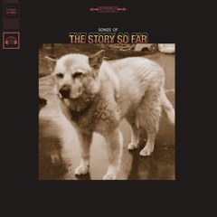 Navy Blue || Empty Arena || The Story So Far