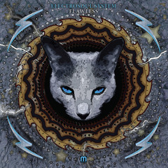 Electrosoul System - 8th Dimension (feat. nClear) [clip]