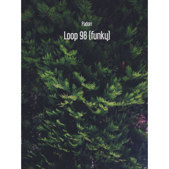 Loop 98 (funky)