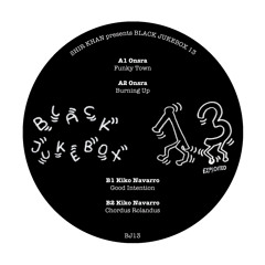 Shir Khan Presents Black Jukebox 13 (Preview) | Exploited