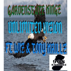 UNLIMITED VIZION FT WIZ X TONY KRILLZ